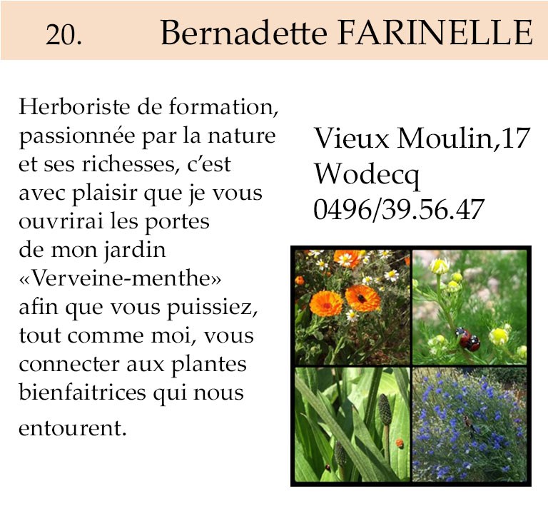 20 Bernadette Farinelle TA